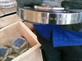 254SMO S31254 Lap Joint Flange