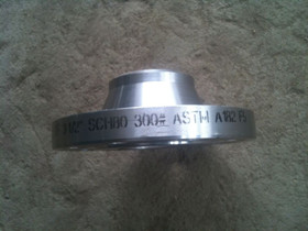 ASTM A182 F304 plate flange