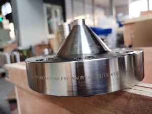 duplex f51 wn flange