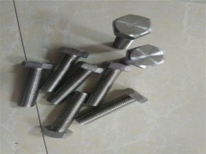 Hastelloy C22 Hex bolt 