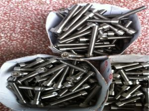 Super Duplex steel 904L 1.4539 Hex bolt 