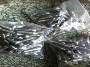 Duplex steel S31803 2205 Hex bolt 