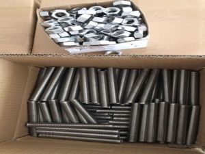 Stainless steel 316 Hex Nut