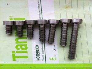 Stainless steel 304 304L Hex bolt 
