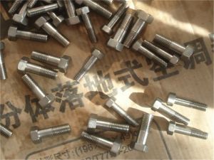 Stainless steel 321H S32109 Hex bolt 