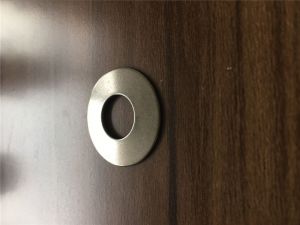 Stainless steel 321H S32109 Spring washer