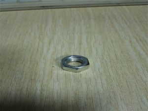 Incoloy 825 Nylon Lock nut