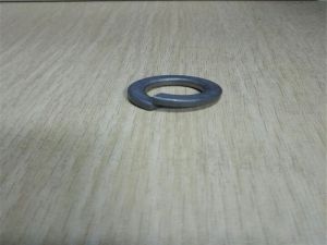 Hastelloy C2000 Spring washer