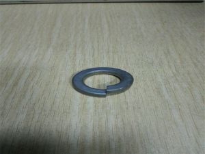 Hastelloy C276 Spring washer