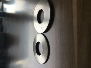 Hastelloy X 2.4465 Spring washer