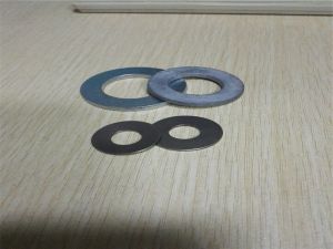 Incoloy 800 Spring washer