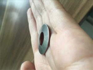 Incoloy 800HT Spring washer