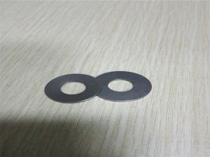 Incoloy 825 Spring washer