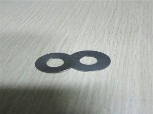 Inconel 600 Spring washer