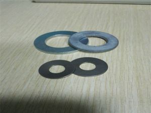 Inconel 718 Spring washer