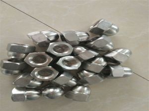 Nimonic 75 N06075 hex nut