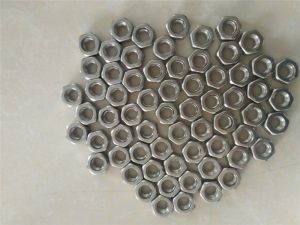 Nimonic 80A  N07080 hex nut