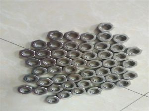 Stainless steel 316H S31609 hex nut