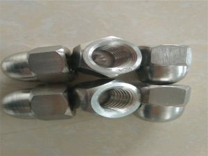Stainless steel 1.4529 N08926 hex nut