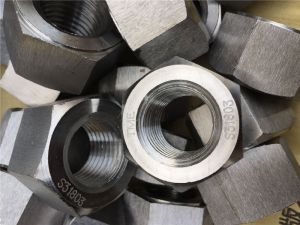 Incoloy 825 hex nut