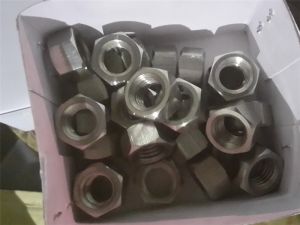Super Duplex steel S32750 hex nut