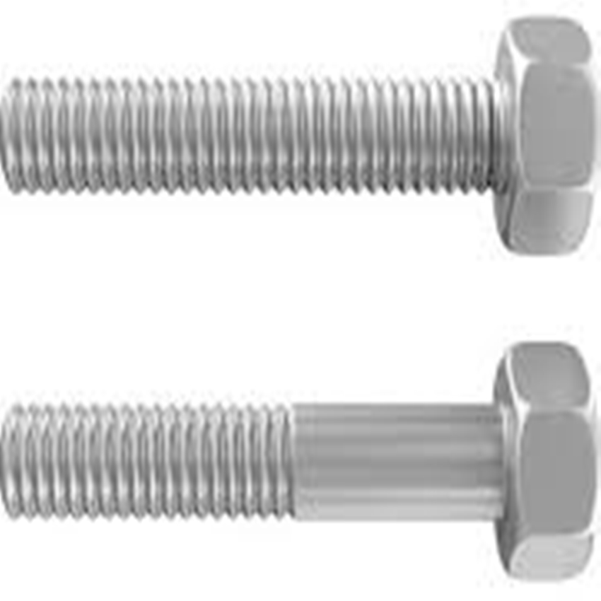 310S Hex Bolt