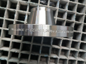 ASTM A182 F316L WN flange 2