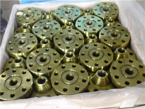 AISI SAE 4340 Weld Neck Flange