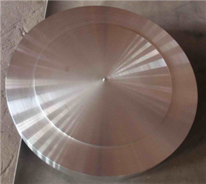 AISI SAE 8630 Blind Flange