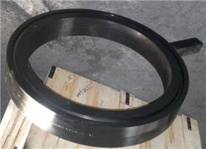 UNS N04400 Flange