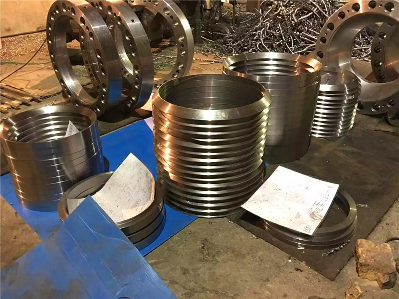 ASTM A182 F304L forgings rings discs parts
