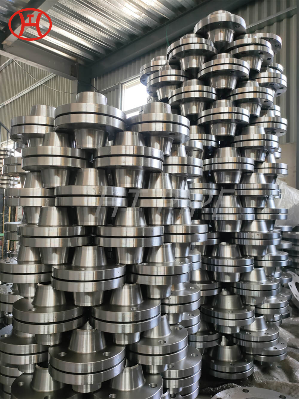 1.4462 Duplex Spectacle WN Flange