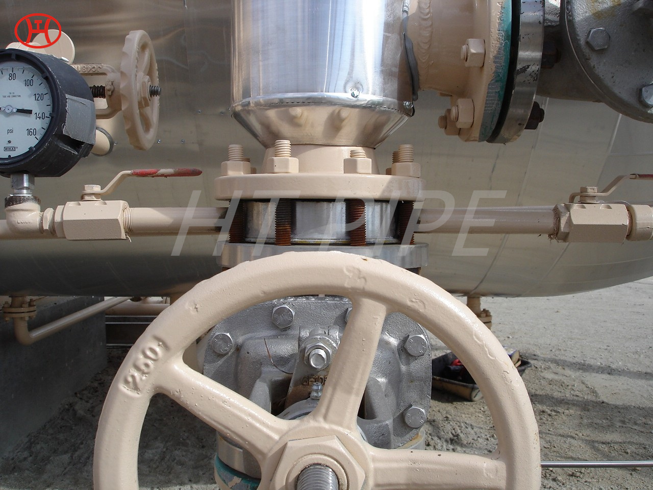 A182 F316L special flange sensitive industries such as food preparation